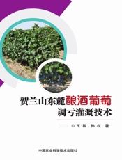 贺兰山东麓酿酒葡萄调亏灌溉技术