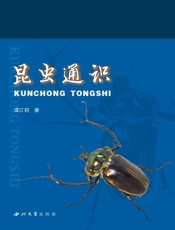 昆虫通识