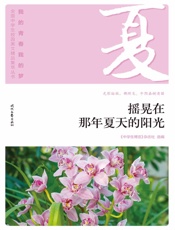 摇晃在那年夏天的阳光
