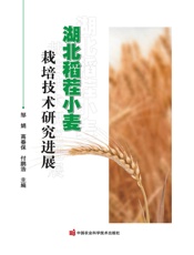 湖北稻茬小麦栽培技术研究进展