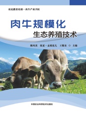肉牛规模化生态养殖技术