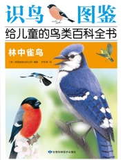 林中雀鸟