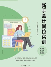 新手会计岗位实训