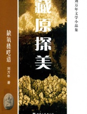 缺氧楼呓语：刘万年文学小品集