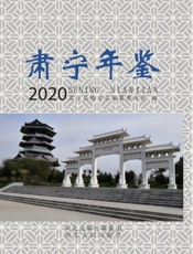 肃宁年鉴（2020）