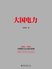 大国电力