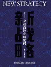 新战略：企业高速发展密码