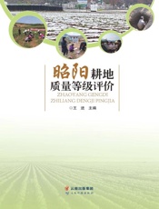 昭阳耕地质量等级评价