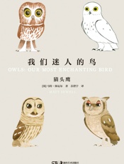 我们迷人的鸟：猫头鹰