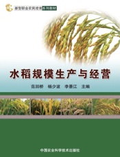 水稻规模生产与经营