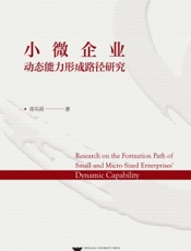 小微企业动态能力形成路径研究