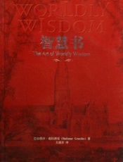 智慧书中文版