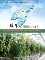 蔬菜规模生产技术