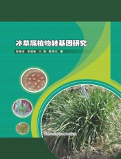 冰草属植物转基因研究