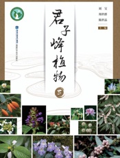 君子峰植物.3