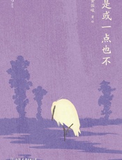 是或一点也不