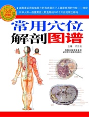常用穴位解剖图谱