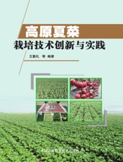 高原夏菜栽培技术创新与实践