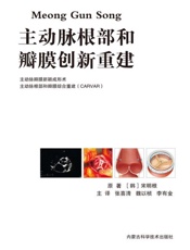 Meong Gun Song主动脉根部和瓣膜创新重建