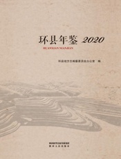 环县年鉴（2020）