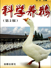科学养鹅