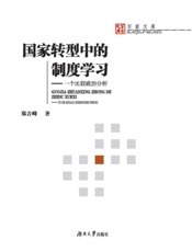 国家转型中的制度学习：一个比较政治分析