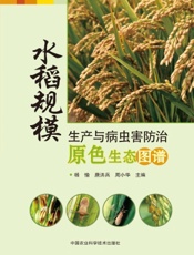 水稻规模生产与病虫害防治原色生态图谱