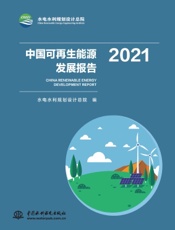 中国可再生能源发展报告 2021