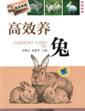 高效养兔