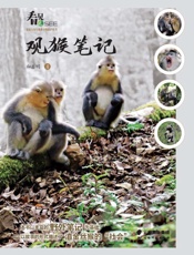 观猴笔记