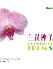 兰花种子的培育