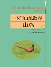 林间山地散养山鸡