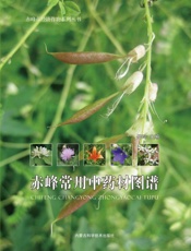 赤峰常用中药材图谱