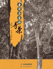 寻茶