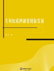 专利权质押融资创新发展