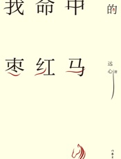 我命中的枣红马