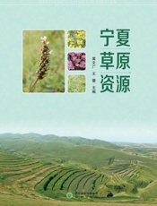 宁夏草原资源