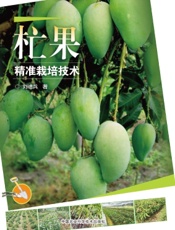 杧果精准栽培技术
