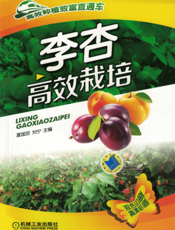 李杏高效栽培