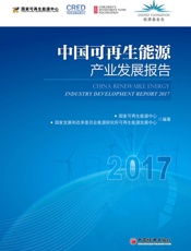 中国可再生能源产业发展报告2017