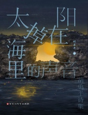 太阳掉在海里的声音