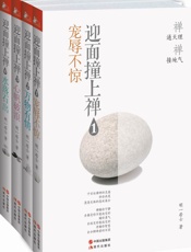 迎面撞上禅