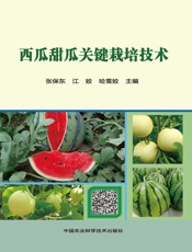 西瓜甜瓜关键栽培技术