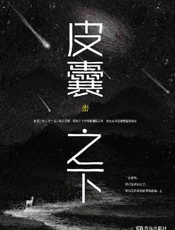 皮囊之下