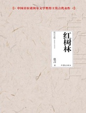 红树林