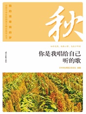 你是我唱给自己听的歌