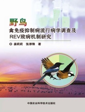 野鸟禽免疫抑制病流行病学调查及REV致病机制研究