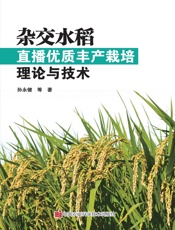 杂交水稻直播优质丰产栽培理论与技术