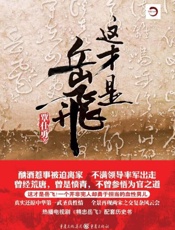 这才是岳飞
