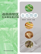 海南南繁区玉米病虫害识别生态图谱